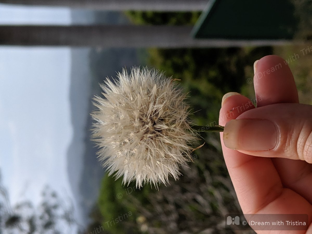 Creative inspiration in the field